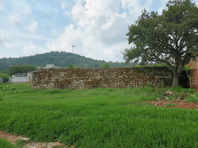1 Kanal Dairy Farm for Rent