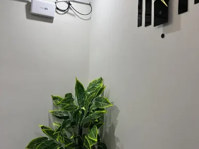 One bedroom apartment for rent daily basis