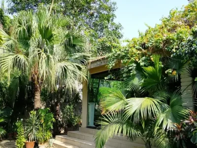 Three Side Open Livable Banglow In Main Cantt