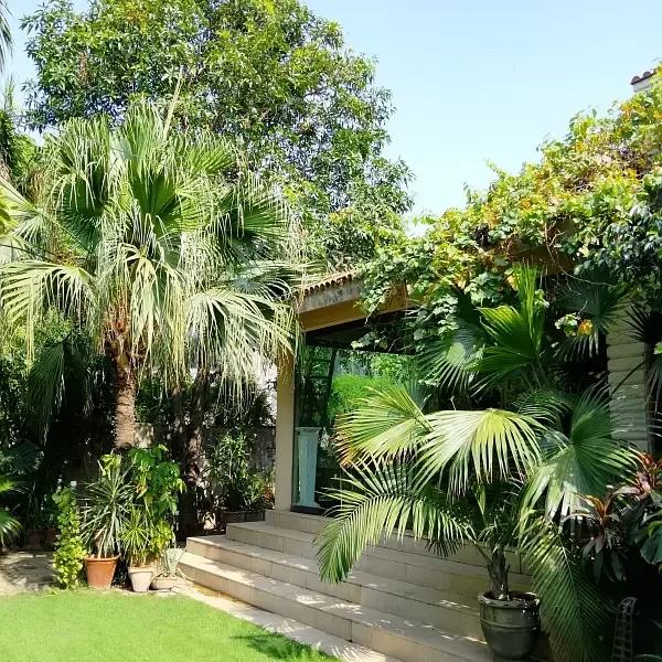 Three Side Open Livable Banglow In Main Cantt