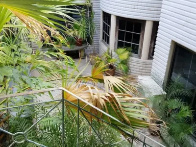 Three Side Open Livable Banglow In Main Cantt