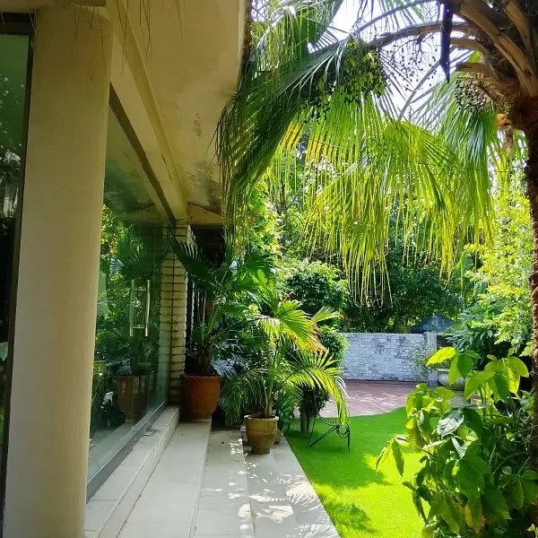 Three Side Open Livable Banglow In Main Cantt