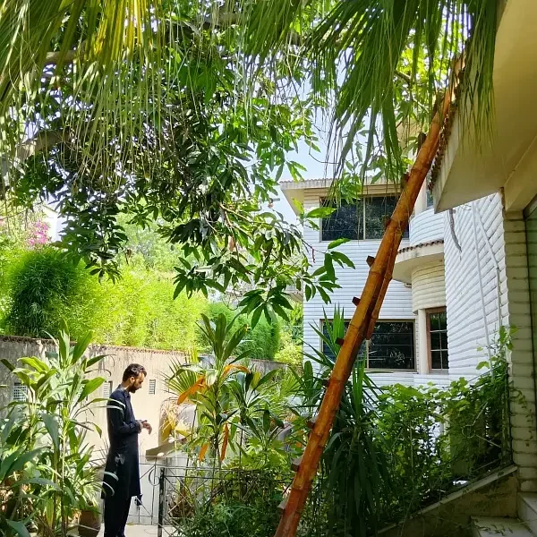 Three Side Open Livable Banglow In Main Cantt